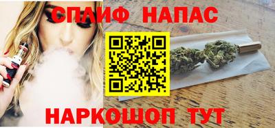 индика Лесосибирск