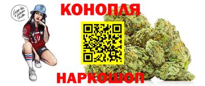 индика Лесосибирск