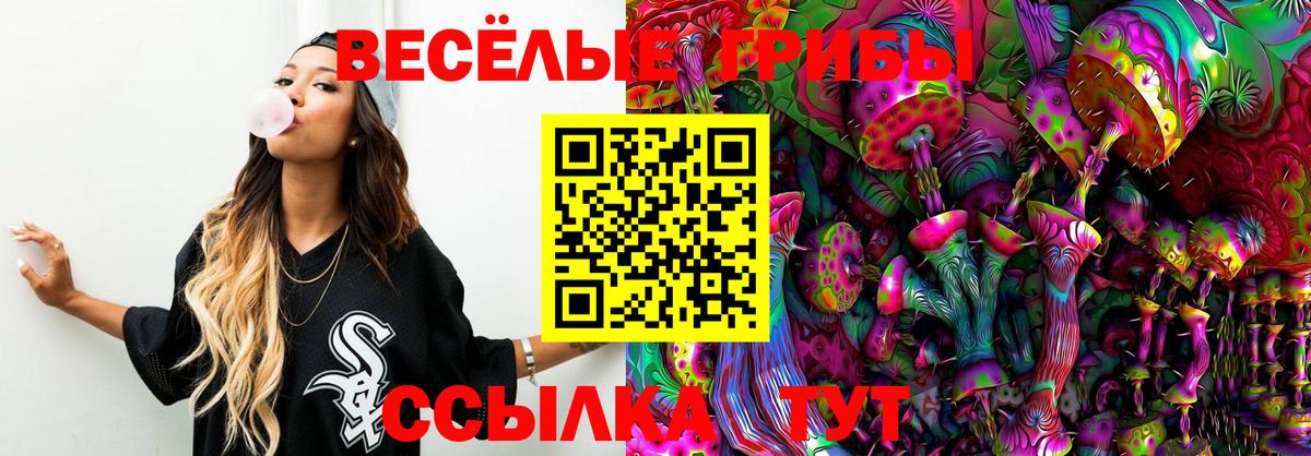 Кашира  Псилоцибиновые грибы мухоморы  Вход с VPN  Псилоцибиновые грибы Cubensis 